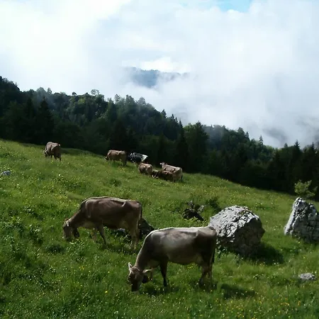 Farma La Zangola Tremosine